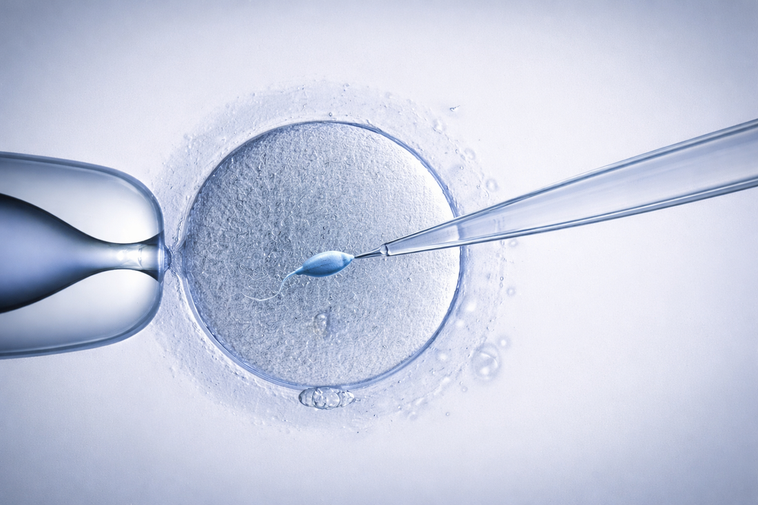 Effect of Obesity on Fertility and IVF Outcomes: What Research Shows